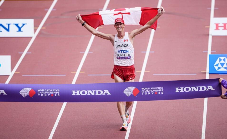 均失败, 木隼人分别 均失败, 木隼人分别